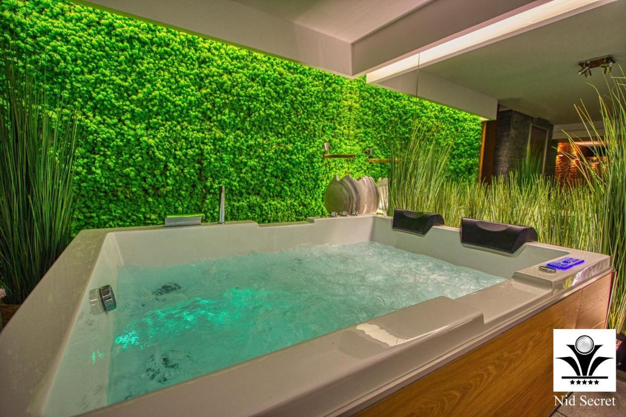 Panoramique 180 Lac Et Montagne Et Nid Secret Spa Romantique Annecy Zewnętrze zdjęcie